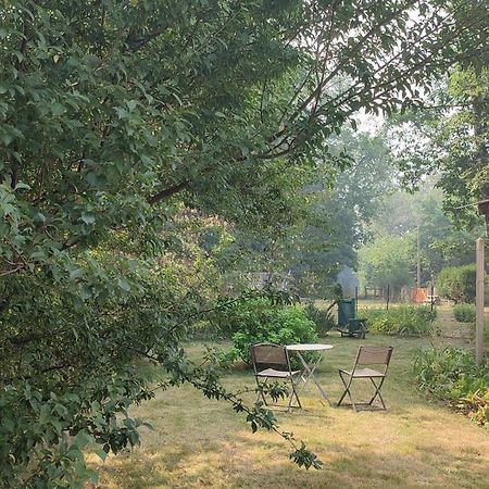 Chalet Dans La Foret....Adorable 1 Bedroom Chalet Surrounded By Woodland Pressignac 외부 사진