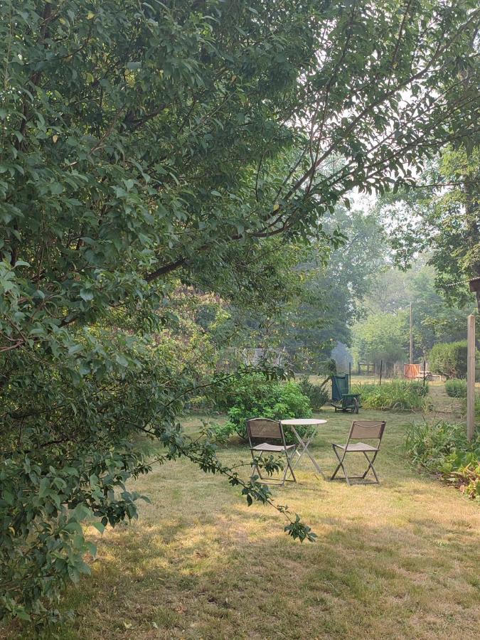 Chalet Dans La Foret....Adorable 1 Bedroom Chalet Surrounded By Woodland Pressignac 외부 사진
